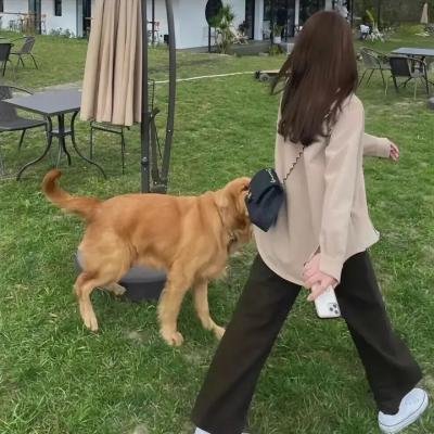黄金拼图第一季海报